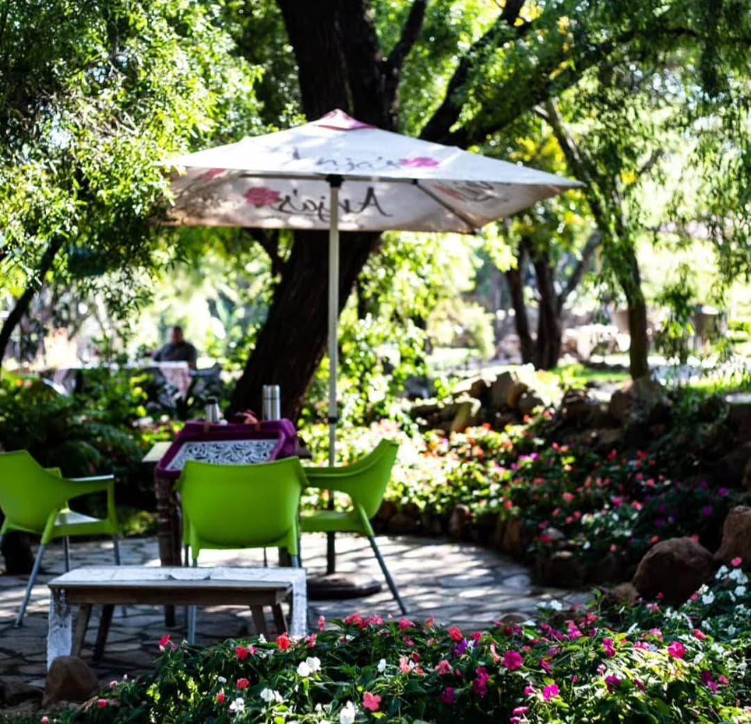 Inside Anja's Tea Garden